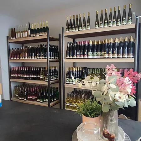 Apartment Weingut & Gaestehaus Melchiors *