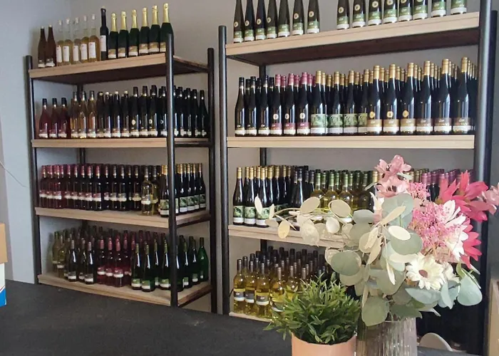 아파트 Weingut & Gaestehaus Melchiors *